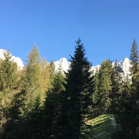 Szoeky Appartement *