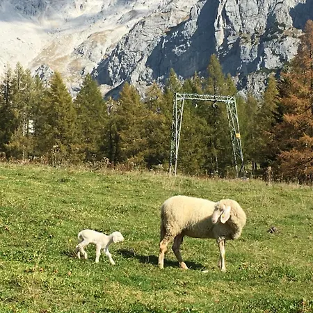Szoeky Bad Mitterndorf