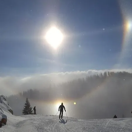 Appartement Szoeky *