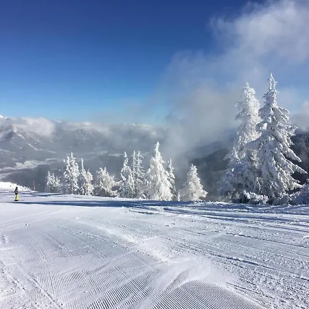 Szoky