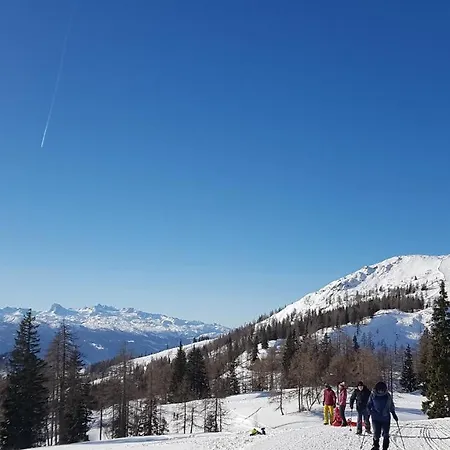 Szoeky Appartement Bad Mitterndorf