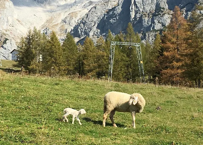 Szoeky Bad Mitterndorf